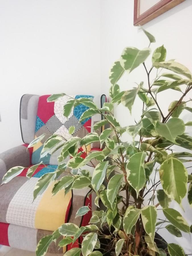 コマッキオ Casa Belliniヴィラ エクステリア 写真